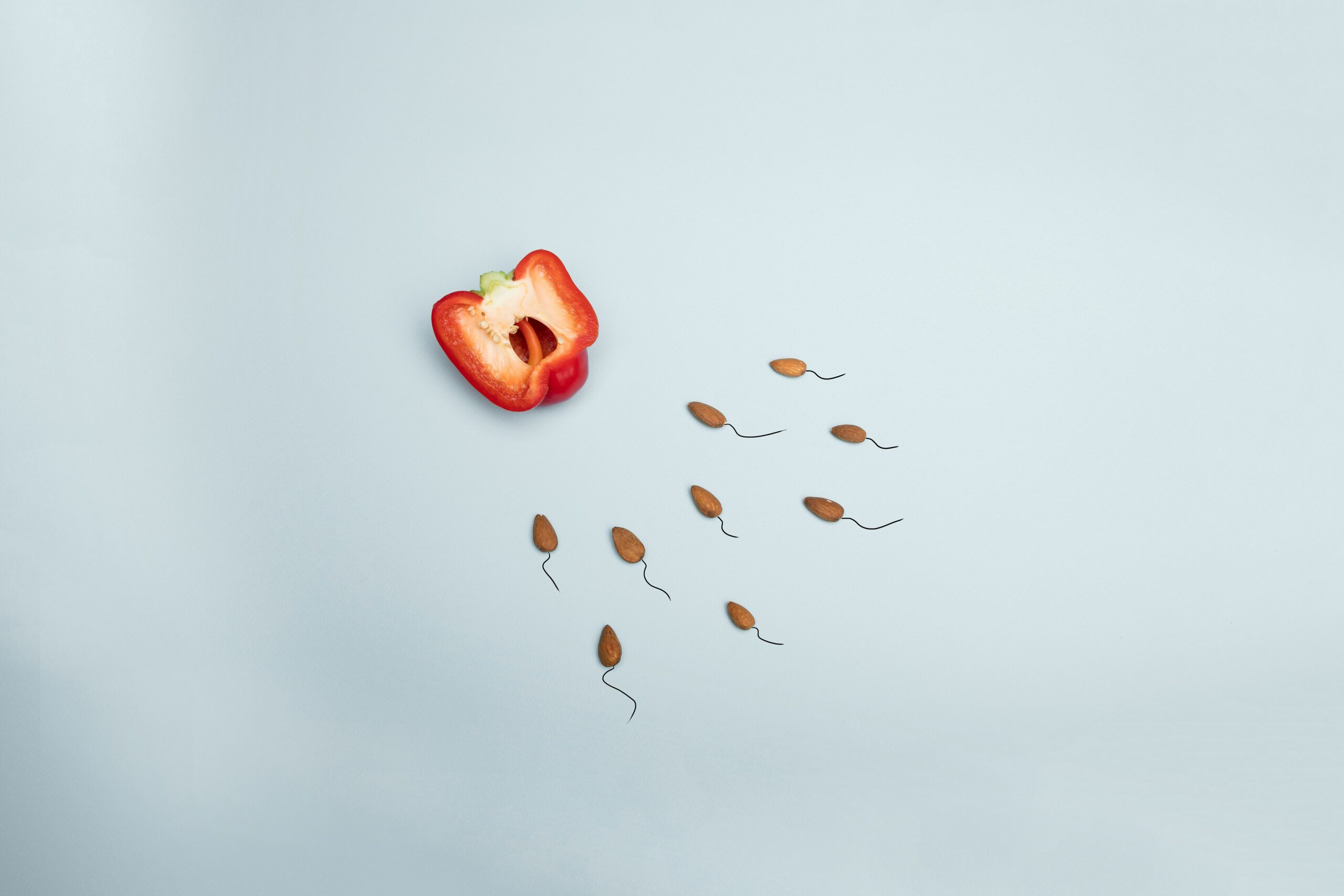 Diagramm der fruchtbaren Tage im Menstruationszyklus