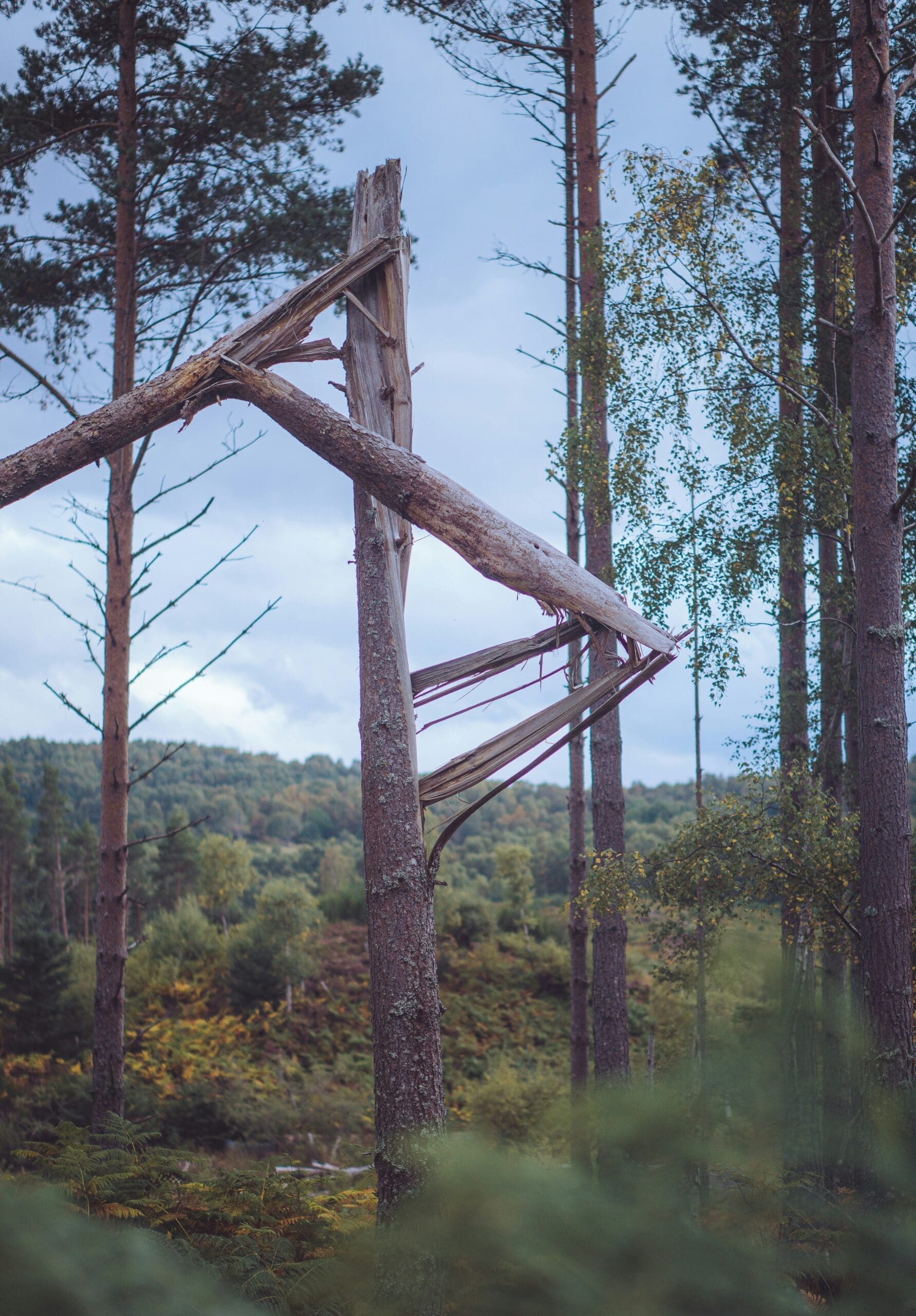 Holzspielbogen mit abgerundeten Kanten