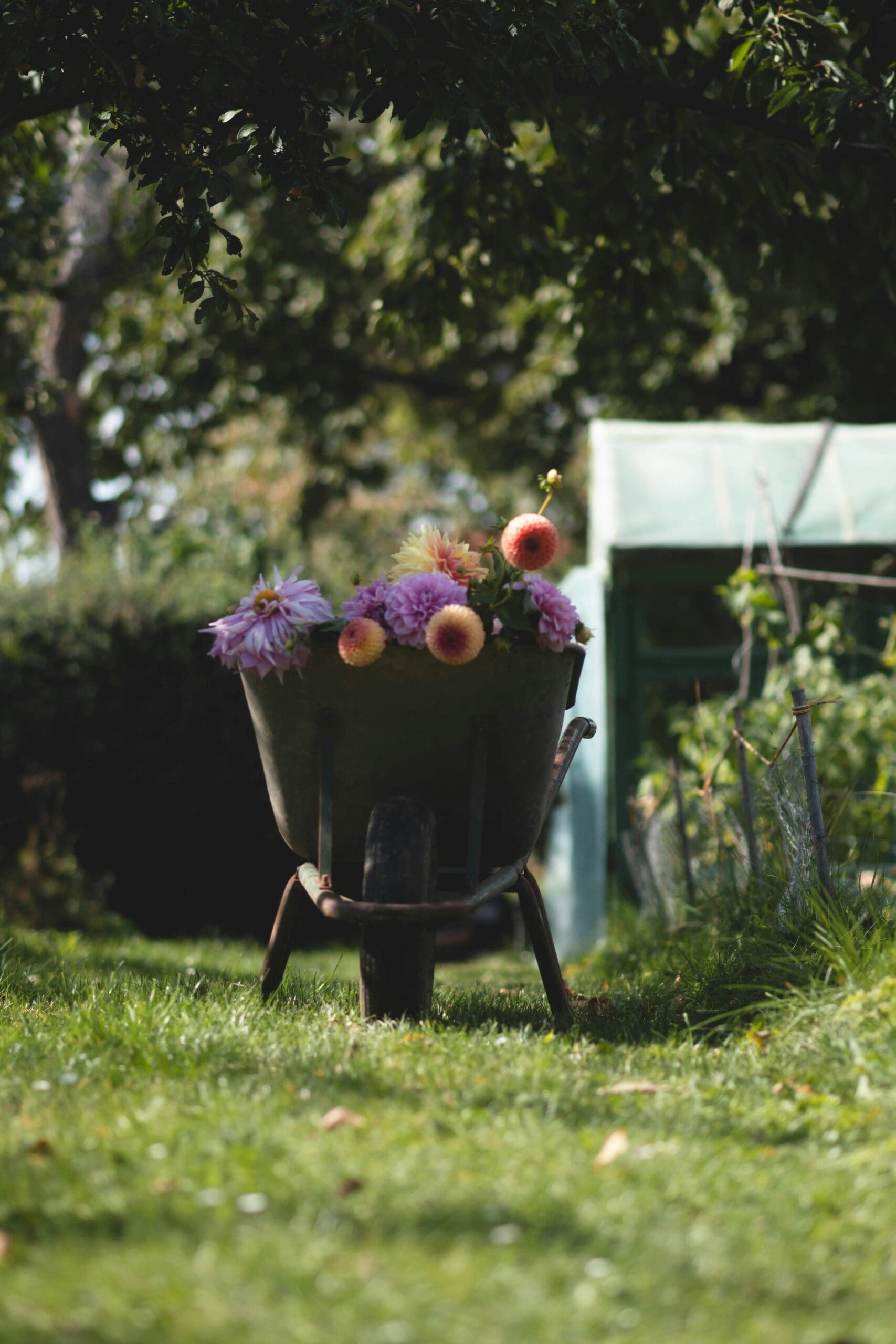 Großeltern, die mit Enkelkindern im Garten arbeiten