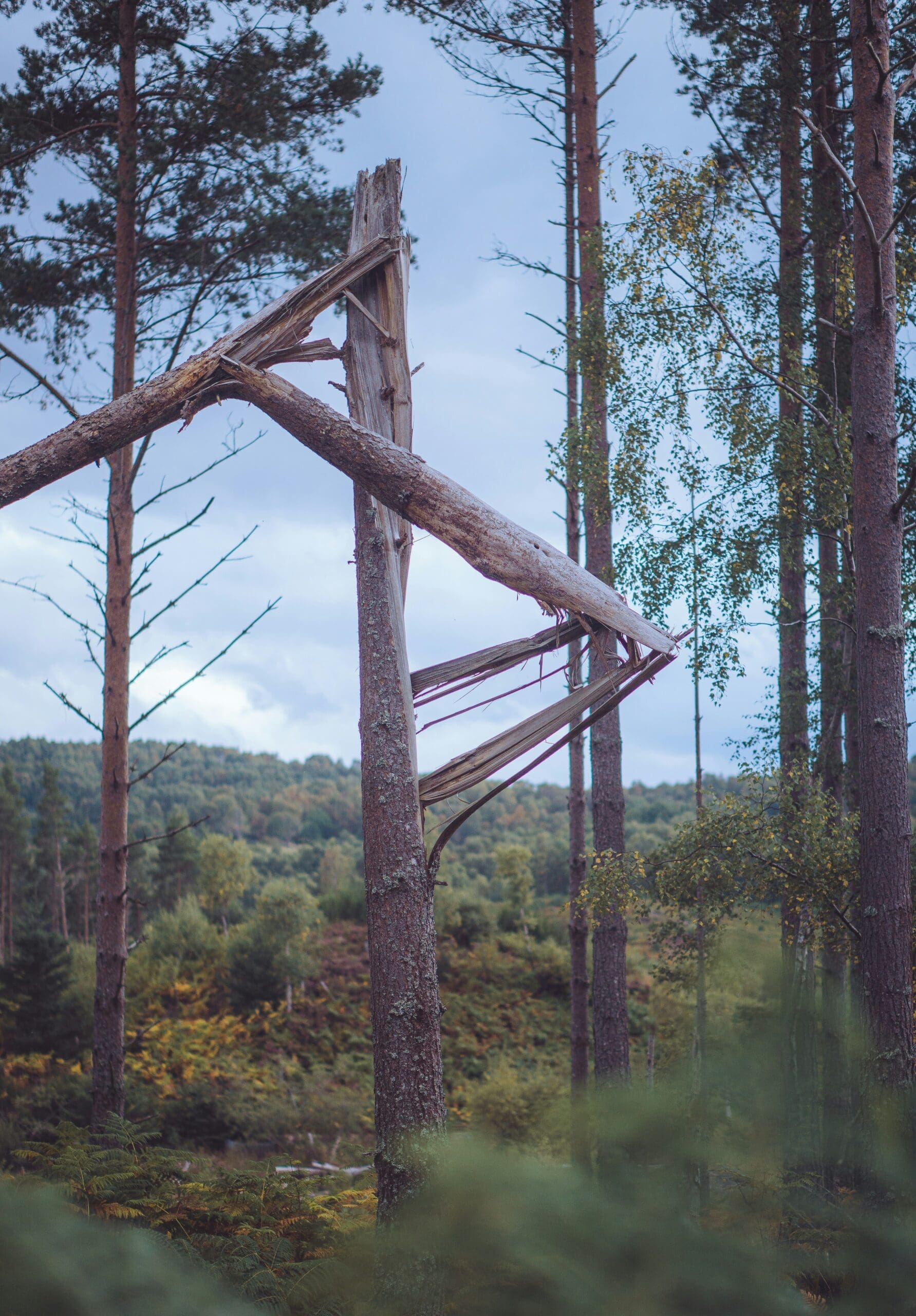 Holzspielbogen mit abgerundeten Kanten